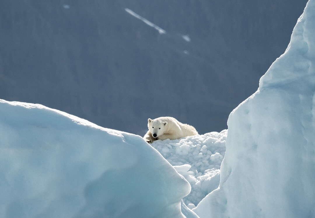 Curious Climate: Scientists respond to climate change sceptics